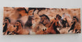 Panta HORSES